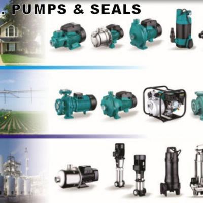 Its Pumps Seals  